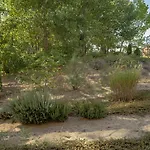 Menada Dune *
